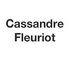 Cassandre Fleuriot, Lanmeur - Horaires d'ouverture