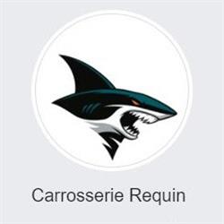 Carrosserie Requin, Décines-Charpieu - Horaires d'ouverture