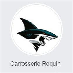 Carrosserie Requin, Décines-Charpieu - Horaires d'ouverture