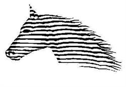 Centre Equestre les Granges, Julos - Horaires d'ouverture