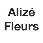 Alize Fleurs, Roquemaure - Horaires d'ouverture