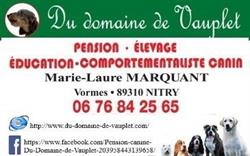Marquant Marie-laure DU DOMAINE DE VAUPLET, Nitry - Horaires d'ouverture