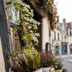 Autour du Jardin, Nogent-le-Rotrou - Horaires d'ouverture
