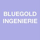 BLUEGOLD INGENIERIE, Tassin-la-Demi-Lune - Horaires d'ouverture