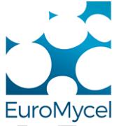 Euromycel SAS, L'Île-Bouchard - Horaires d'ouverture