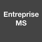 Entreprise MS, Sainte-Geneviève-des-Bois - Horaires d'ouverture