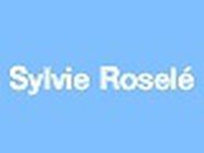 EVIN ROSELE SYLVIE, Bruay-la-Buissière - Horaires d'ouverture