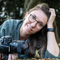 Virginie Derache Photographe, Wandignies-Hamage - Horaires d'ouverture