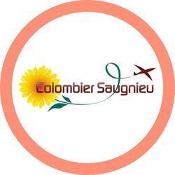 Mairie - Colombier-Saugnieu, - Horaires d'ouverture