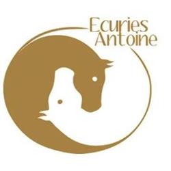 Centre Equestre Antoine Gérald, Gy-les-Nonains - Horaires d'ouverture