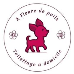 A Fleure De Poils, Poisy - Horaires d'ouverture