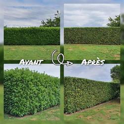 Jardinier Paris entretien, Houilles - Horaires d'ouverture
