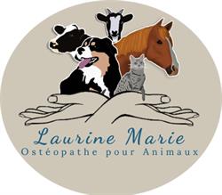 Laurine Marie - Ostéopathe pour Animaux, Le Loroux-Bottereau - Horaires d'ouverture