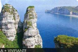 Allo Sainte Adresse Taxi, Sainte-Adresse - Horaires d'ouverture