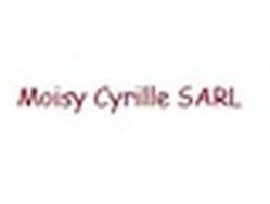 SARL MOISY CYRILLE, Saint-Aignan-sur-Roë - Horaires d'ouverture
