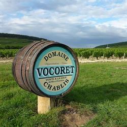 Domaine Vocoret et Fils SCEA, Chablis - Horaires d'ouverture