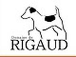 DOMAINE DE RIGAUD, Pont-de-Larn - Horaires d'ouverture