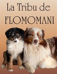 La Tribu de FLOMOMANI, Draguignan - Horaires d'ouverture