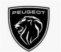 PEUGEOT AUTO ELECTRICITÉ MEUNIER AGENT, Villeurbanne - Horaires d'ouverture