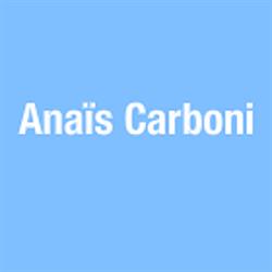 Anaïs Carboni Ergothérapeute, Sonzay - Horaires d'ouverture