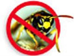 Gallot Destruction d'Insectes, Saint-Eulien - Horaires d'ouverture