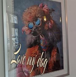 Divadog, Moissac - Horaires d'ouverture