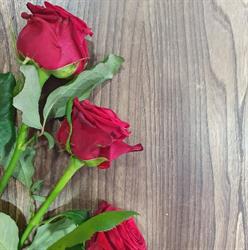 Les Trois Roses, Roisel - Horaires d'ouverture