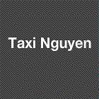 Taxi Nguyen SASU, Villelongue-de-la-Salanque - Horaires d'ouverture