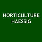HORTICULTURE HAESSIG, Hochfelden - Horaires d'ouverture
