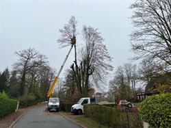 Antoine Chevallier Espaces Verts, Seraucourt-le-Grand - Horaires d'ouverture