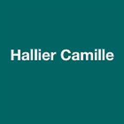 Hallier Camille, Gournay-sur-Marne - Horaires d'ouverture