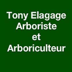 Tony Elagage, Verrières-le-Buisson - Horaires d'ouverture