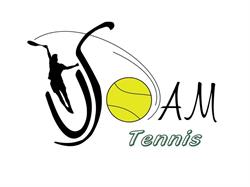 Centre tennistique Louis Thomas d Athis-Mons, - Horaires d'ouverture