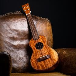 Mélopée Guitares, Portet-sur-Garonne - Horaires d'ouverture