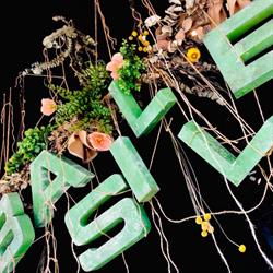 Basille Fleurs, Sotteville-lès-Rouen - Horaires d'ouverture