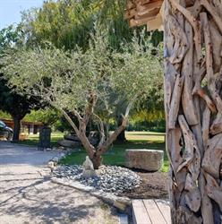 Mas des muses, L'Isle-sur-la-Sorgue - Horaires d'ouverture
