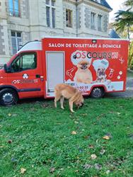 OS'cours Ptit Lou, Sainte-Luce-sur-Loire - Horaires d'ouverture