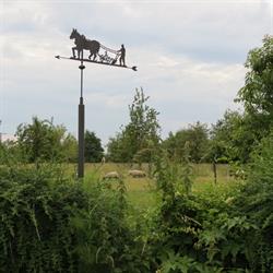 Ferme Plaine de vie, Bayonvillers - Horaires d'ouverture