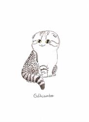 La chatterie du Lord Inouk - Scottish fold/straight, Odomez - Horaires d'ouverture