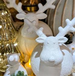 Le Jasmin Blanc, Cagnes-sur-Mer - Horaires d'ouverture