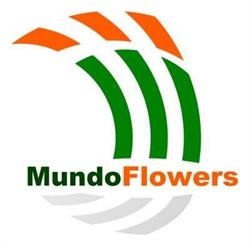 Mundo Flowers, L'Haÿ-les-Roses - Horaires d'ouverture