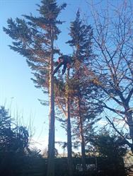 JOE ELAGUEUR PAYSAGISTE, Saint-Brice-sous-Forêt - Horaires d'ouverture