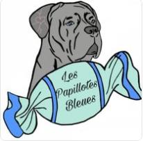 Les Papillotes Bleues, Magescq - Horaires d'ouverture
