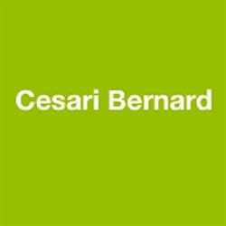 Cesari Bernard, Toulon - Horaires d'ouverture