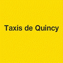 Taxis De Quincy, Civray - Horaires d'ouverture