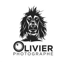 Studio Photo Olivier Desaleux-Essonne-91, Évry-Courcouronnes - Horaires d'ouverture