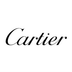 Espace Cartier, Lyon - Horaires d'ouverture