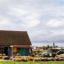 Potager de la Tente Verte, Dunkerque - Horaires d'ouverture