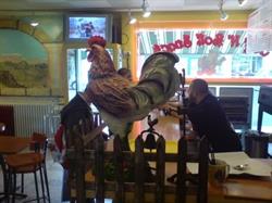 Coq n'Roll, Metz - Horaires d'ouverture
