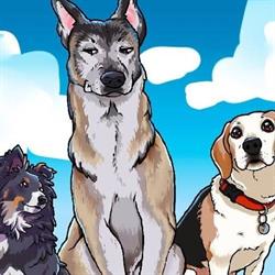 Dogstore & Co, Villeneuve-d'Ascq - Horaires d'ouverture